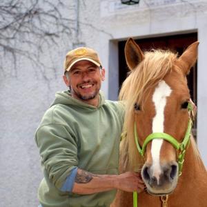 Kinesiologieeinheit bei Pferde- Dipl. Kinesiolge/in Kinesiologieeinheit bei Pferde- Dipl. Kinesiolge/in