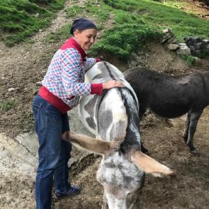 Dipl. Tierenergetiker/in Dipl. Tierenergetiker/in