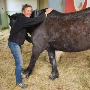 Dipl. Tierenergetiker/in Dipl. Tierenergetiker/in