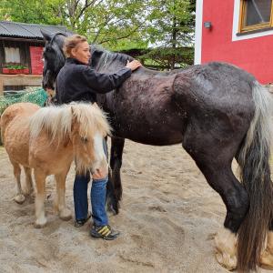 Dipl. Tierenergetiker/in Dipl. Tierenergetiker/in