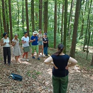 Geomantie & Lebensraumenergetik Spezialkurs beim Gartenparadies Painer Juni 2025