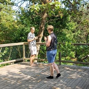 Geomantie & Lebensraumenergetik Spezialkurs beim Gartenparadies Painer Juni 2025