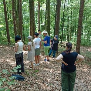 Geomantie & Lebensraumenergetik Spezialkurs beim Gartenparadies Painer Juni 2025