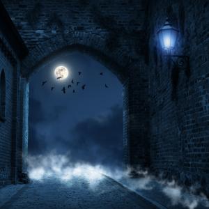 Räuchern zu Halloween, zu Samhain Jahreskreisfest nach TEM - Räucher-Rituale mit heimischen Pflanzen - lernen in der Ausbildung und im Kurs in der BaBlü Akademie Online. Foto: Adobe-Stock