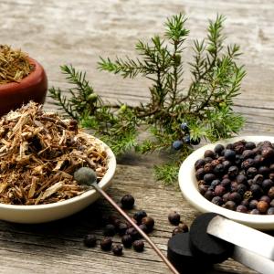 Lernen in Verbindung: praxisnaher Räucherkurs zur Raumreinigung & Erdheilung mit BaBlü® mit Kräutern, Hölzern und Harzen wie zB. Wacholder; Foto: AdobeStock