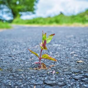 Dipl. MentaltrainerIn- Stressmanagement und Resilienz