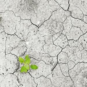 Dipl. MentaltrainerIn- Stressmanagement und Resilienz