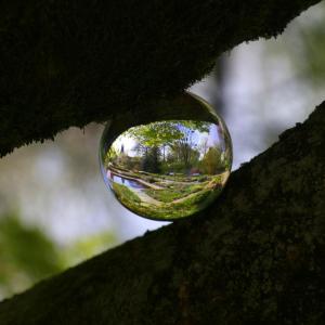 Dipl. MentaltrainerIn- Wahrnehmung, Kommunikation Dipl. MentaltrainerIn- Wahrnehmung, Kommunikation