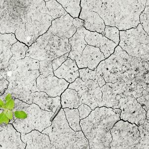 Dipl. Mentaltrainer/in Dipl. Mentaltrainer/in