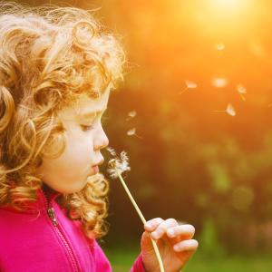 Kurs Mentaltraining Glück Flow Kind Wunder Mentaltraining Wunsch Erfüllung 