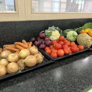 Einblicke vom Seminar "TCM Diätetik Kochpraxis - 5 Elemente & vegane Küche" am 12.09.25