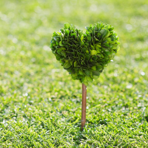 BaBlü® Seminar: Positionierung mit Herz, Angebot, BaBlü® Seminar: Positionierung mit Herz, Angebot,