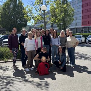 Reset TMJ®Kurs Graz April 2026 Reset TMJ®Kurs Graz April 2026