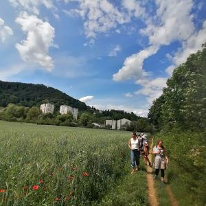 Kräuzterwanderung Kräuterfachfrau/mann Salzburg Juni 2026
